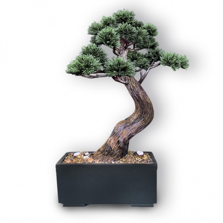 Bonsai
