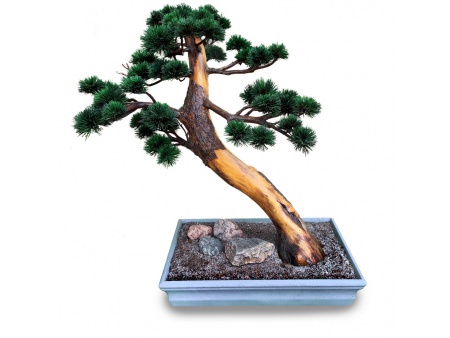 Bonsai tree Ref.9013