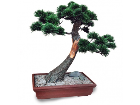 Bonsai tree Ref.9014