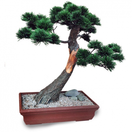 Bonsai tree Ref.9014