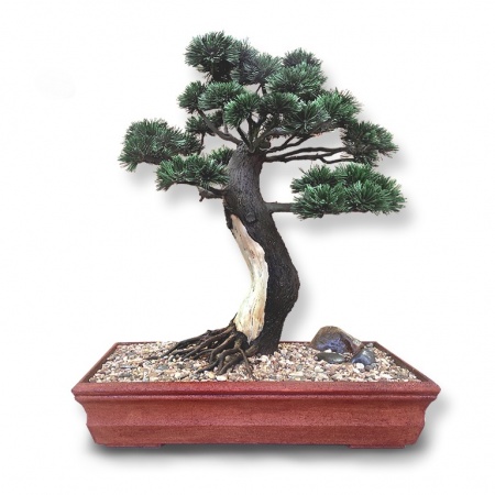 Bonsai, Ref. 9016