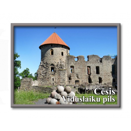 Cēsis Castle 4329M
