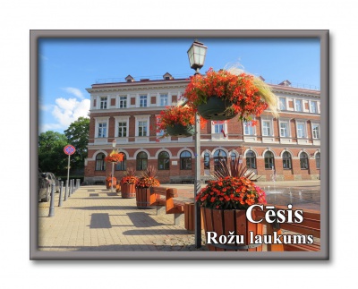 Cesis Rose Square 4331M