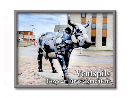 Ventspils Cows 4132M