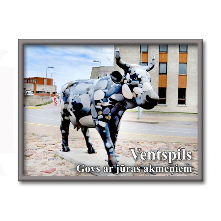 Ventspils Cows 4132M