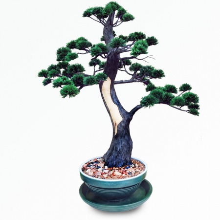 Bonsai tree Ref.9026