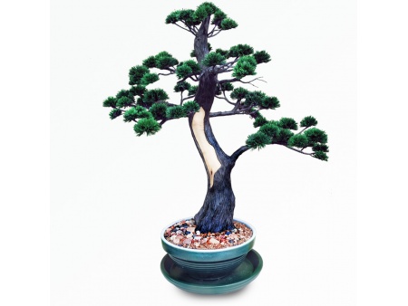 Bonsai tree Ref.9026