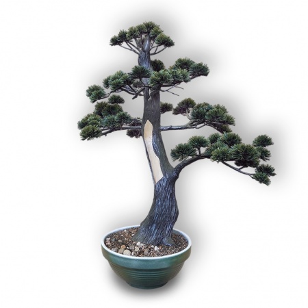 Bonsai tree, Ref. 9026