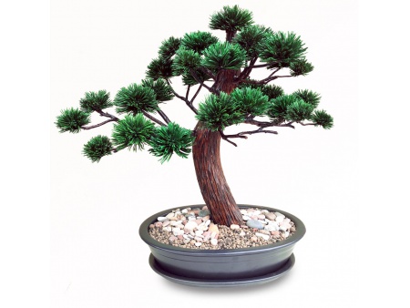 Bonsai tree Ref.9027