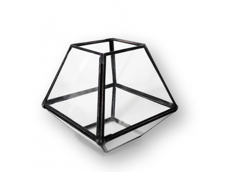 Florarium trapezium