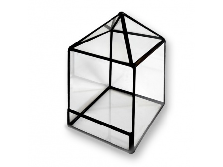 Florarium cube