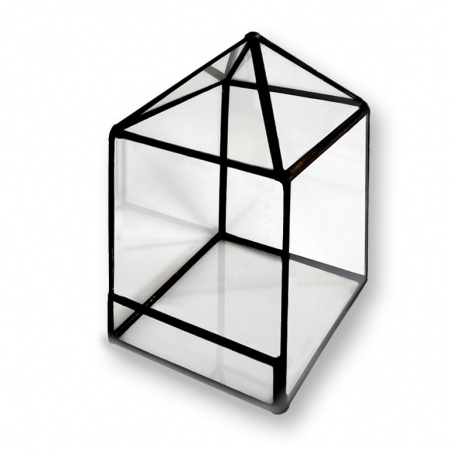 Florarium cube