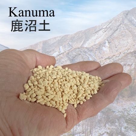 Bonsai grunts Kanuma, 2-3 mm, Ref. 2915
