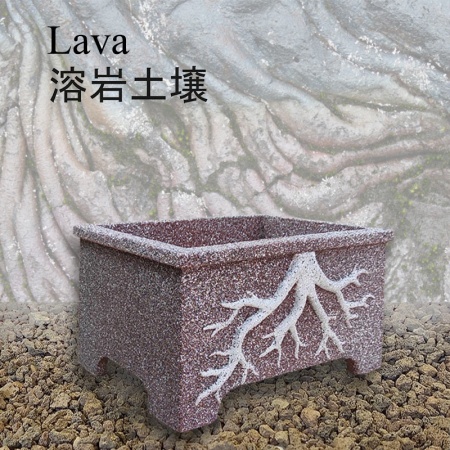 Bonsai grunts sastāvdaļa lava, Ref. 2917