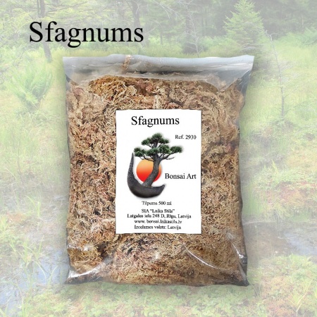Sfagnums, Ref. 2930