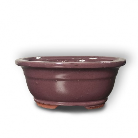 Bonsai konteiners, Ref. 8226