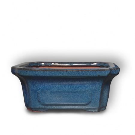 Bonsai konteiners, Ref. 8228