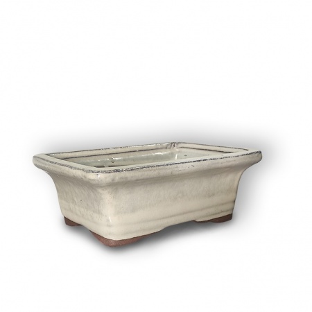 Bonsai konteiners, Ref. 8229