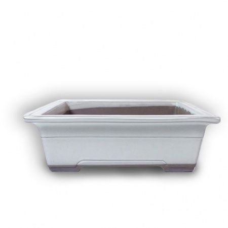 Bonsai konteiners, Ref. 8231