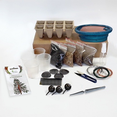Bonsai starta komplekts, Ref.6100