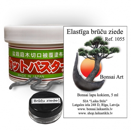 Brūču ziede lapu bonsai, Ref. 1055