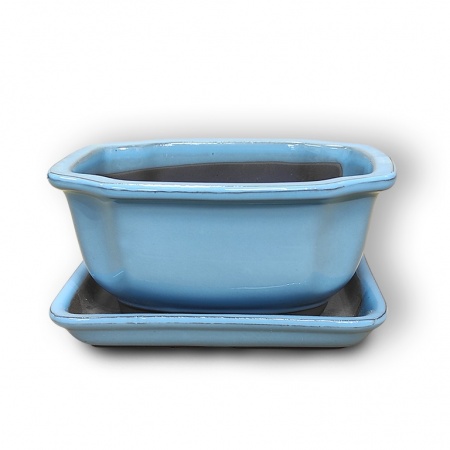 Bonsai konteiners, Ref. 8243