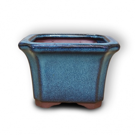 Bonsai konteiners, Ref. 8247