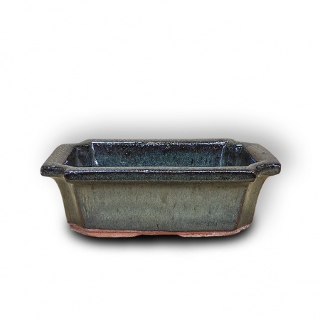 Bonsai konteiners, Ref. 8250