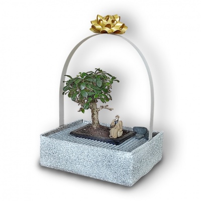 Bonsai gift, Ref. 30161