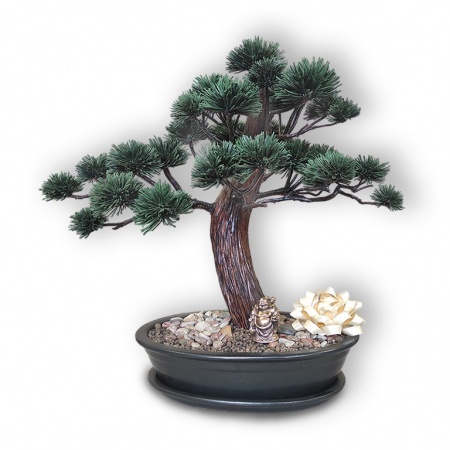 Bonsai dāvana, Ref. 90271