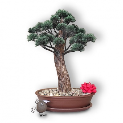 Bonsai dāvana, Ref. 90231