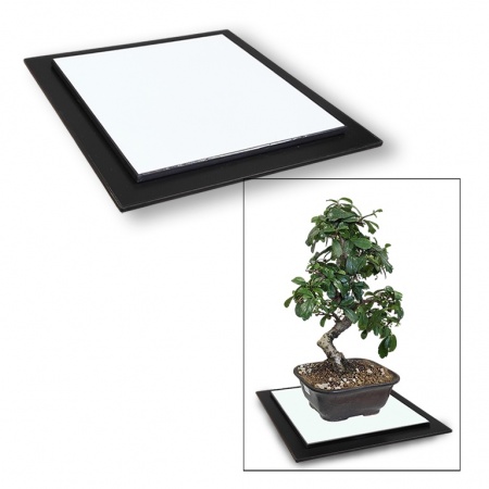 Bonsai tray, Ref. 9003