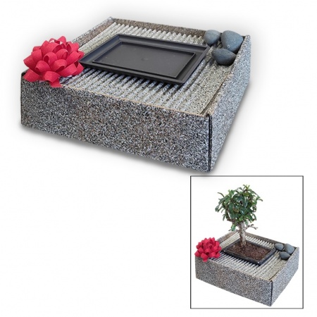 Bonsai gift box , Ref. 9004 