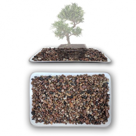 Bonsai paliktnis, Ref. 8282