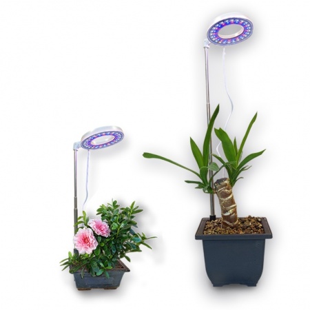 Fito lampa, Ref. 8240