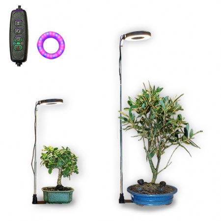 Fito lampa, Ref. 8241