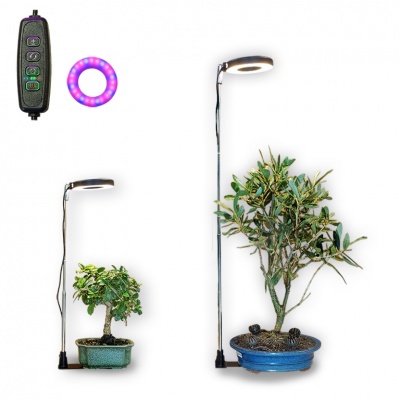 Fito lampa, Ref. 8241