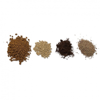 Sageretijas bonsai grunts, Ref. 2908