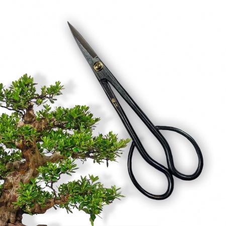 Bonsai scissors, Ref. 8016