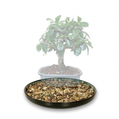 Bļoda ar akmentiņiem, Ref. 8289