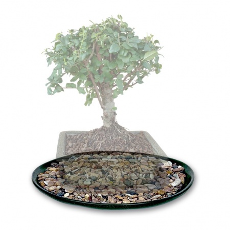 Plate with pebbles, Ref. 8293