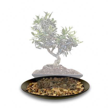 Plate with pebbles, Ref. 8297