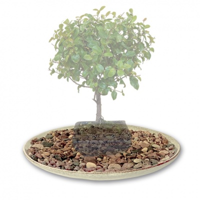 Plate with pebbles, Ref. 8296