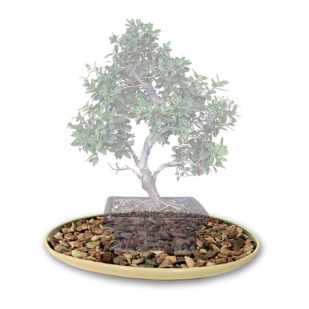 Plate with pebbles, Ref. 8292