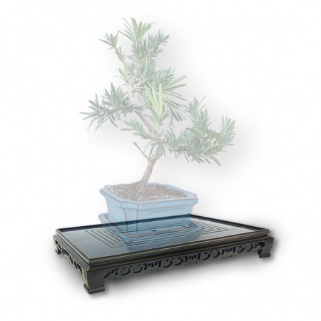 Bonsai table, Ref. 8300