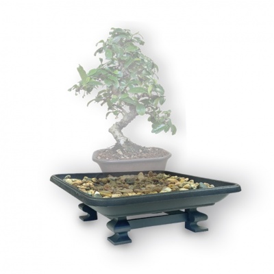 Saucer-bonsai table, Ref.8302