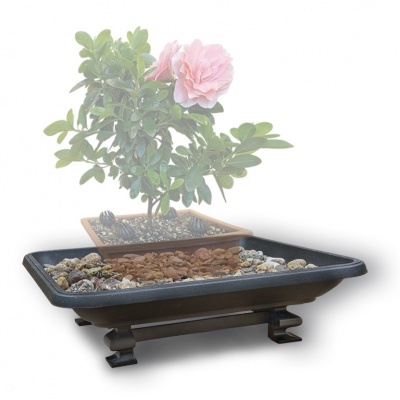 Bonsai paliktnis, Ref. 8303