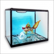 Fish-moneybox.jpg