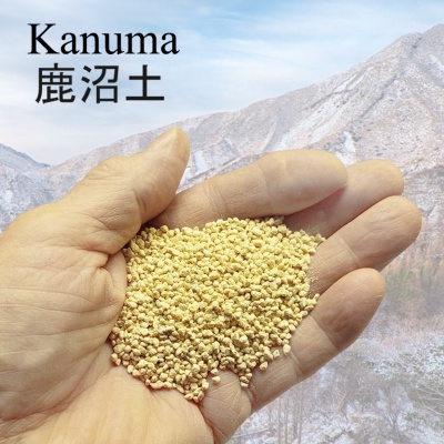 Bonsai grunts Kanuma, 1-2 mm, Ref. 2923