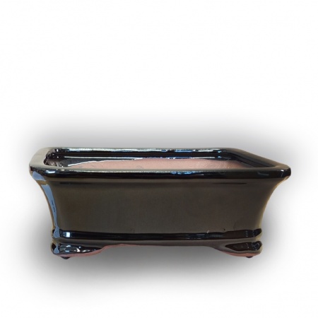 Bonsai container, Ref. 8008